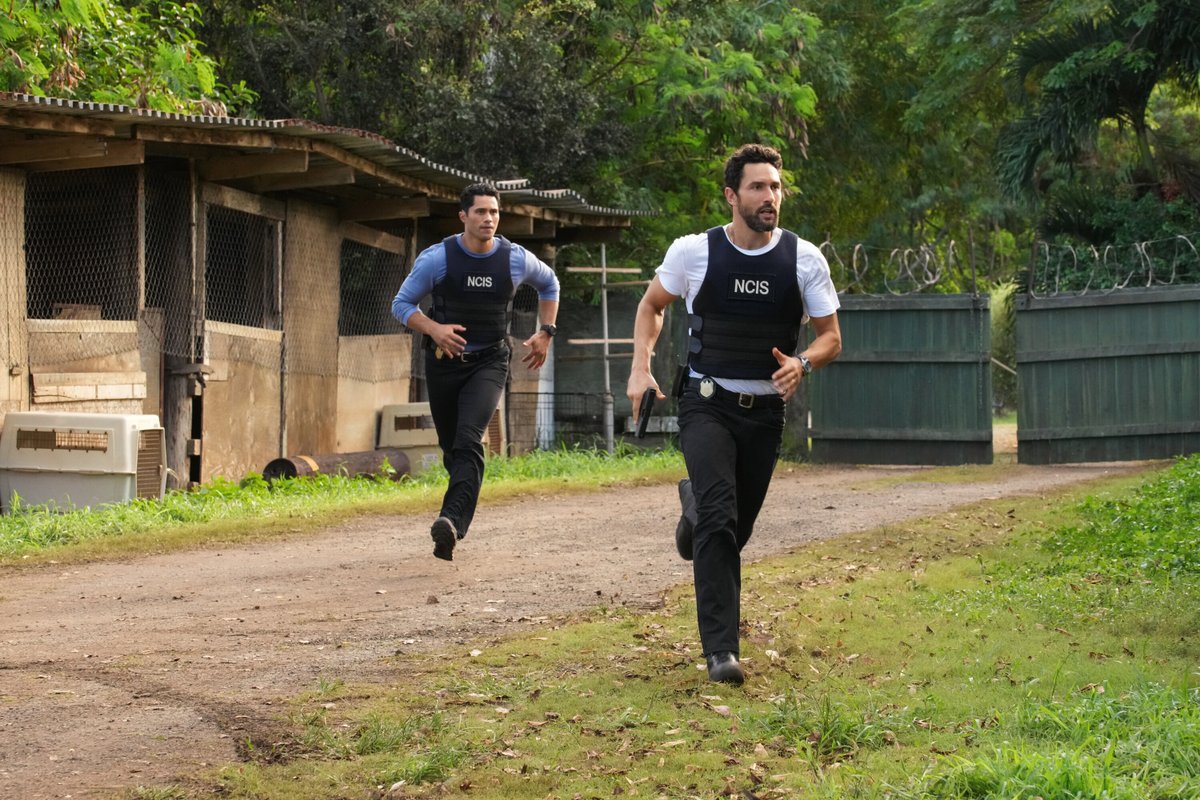 NCISHawaiiCBS's tweet photo. Run, don't walk, into an all-new #NCISHawaii this Monday at 10/9c. Race you there? 🏃 https://t.co/UJOqw5Euqr