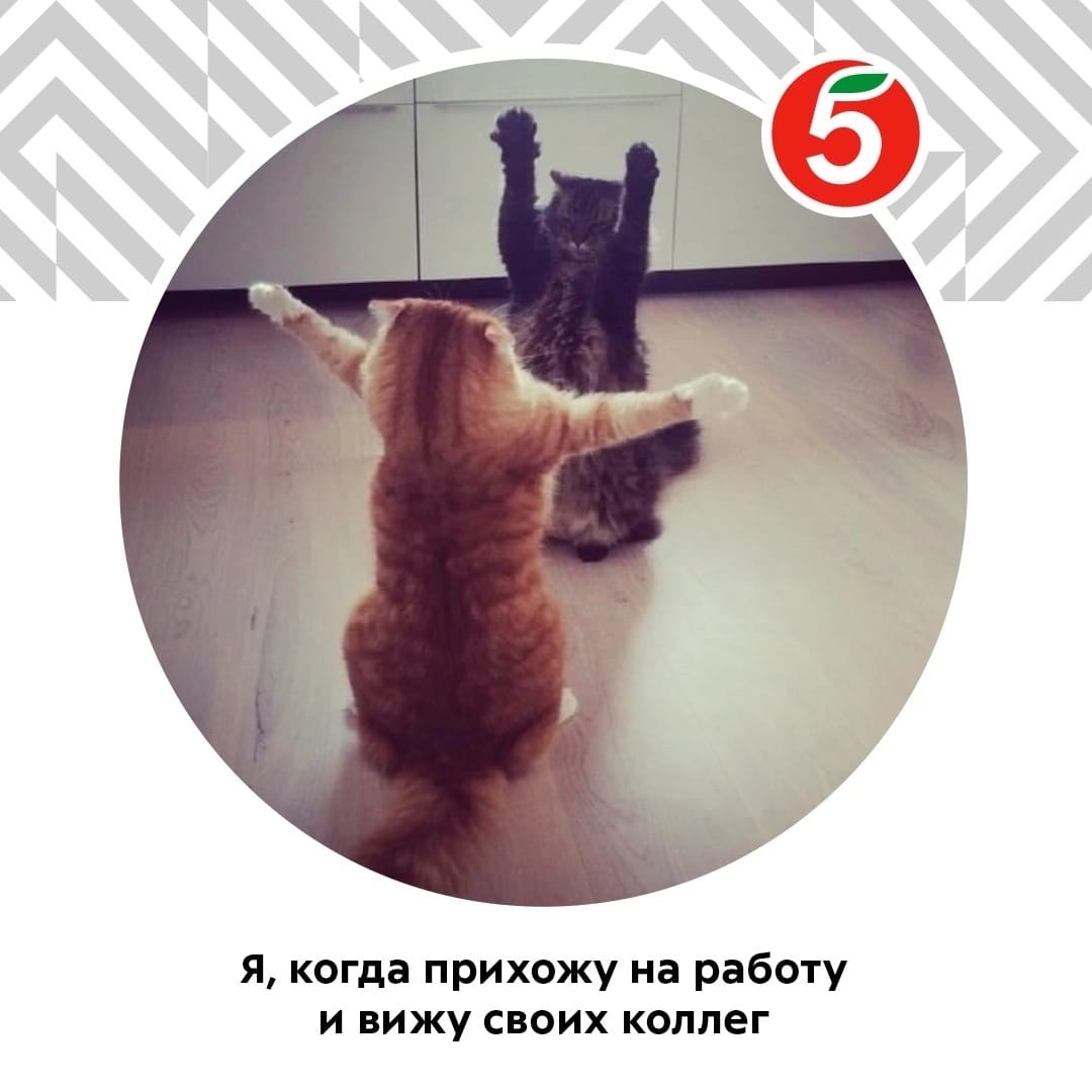 мемесы от моего директора в рабочем чате.
и ведь так и есть. особенно, когда выходишь из отпуска.
или как я с корабля на бал (с самолёта на инвентаризацию)