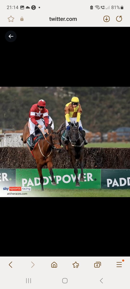 Ondineph's tweet photo. @AtTheRaces https://t.co/k59607uzjZ