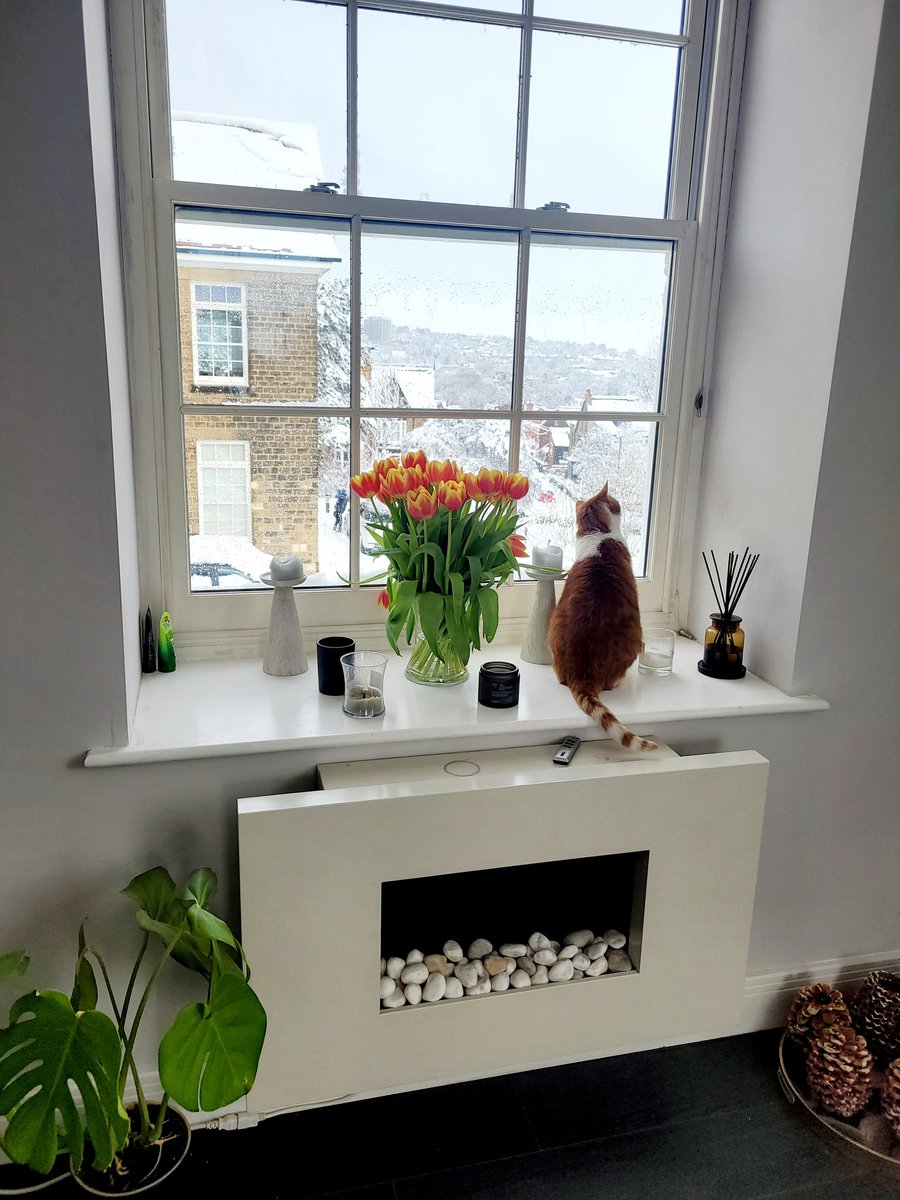 Celinatinker tweet media