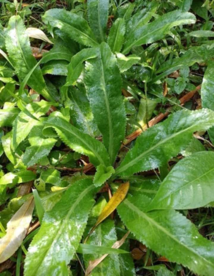 Eduard Prieto R🎗 tweet media