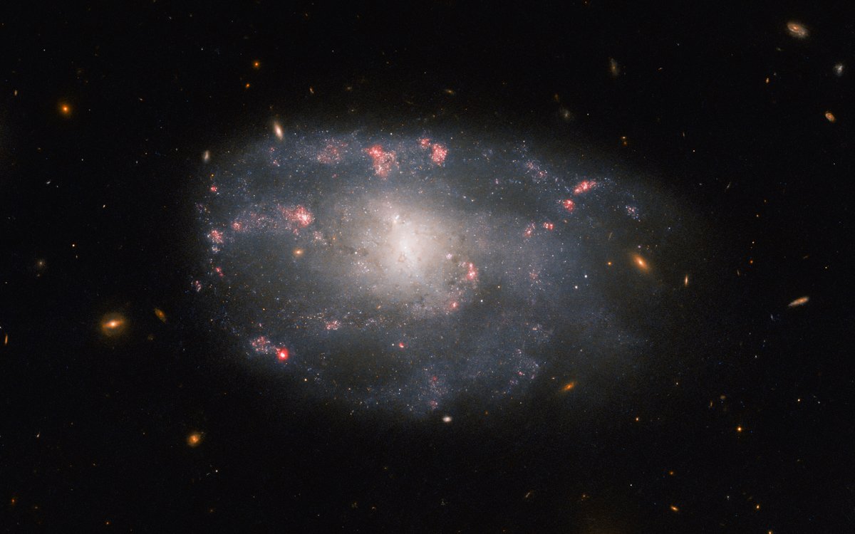 spacedesign27's tweet photo. Hubble Spots a Star-Forming Spiral
The irregular spiral galaxy NGC 5486 hangs against a background of dim, distant galaxies in this image from the NASA/ESA Hubble Space Telescope.
via #NASA https://t.co/WhvXaCOhcs
#space #spacepics
#spacedesign
#eveonline
#gamer #gaming https://t.co/JOCNGNueHK