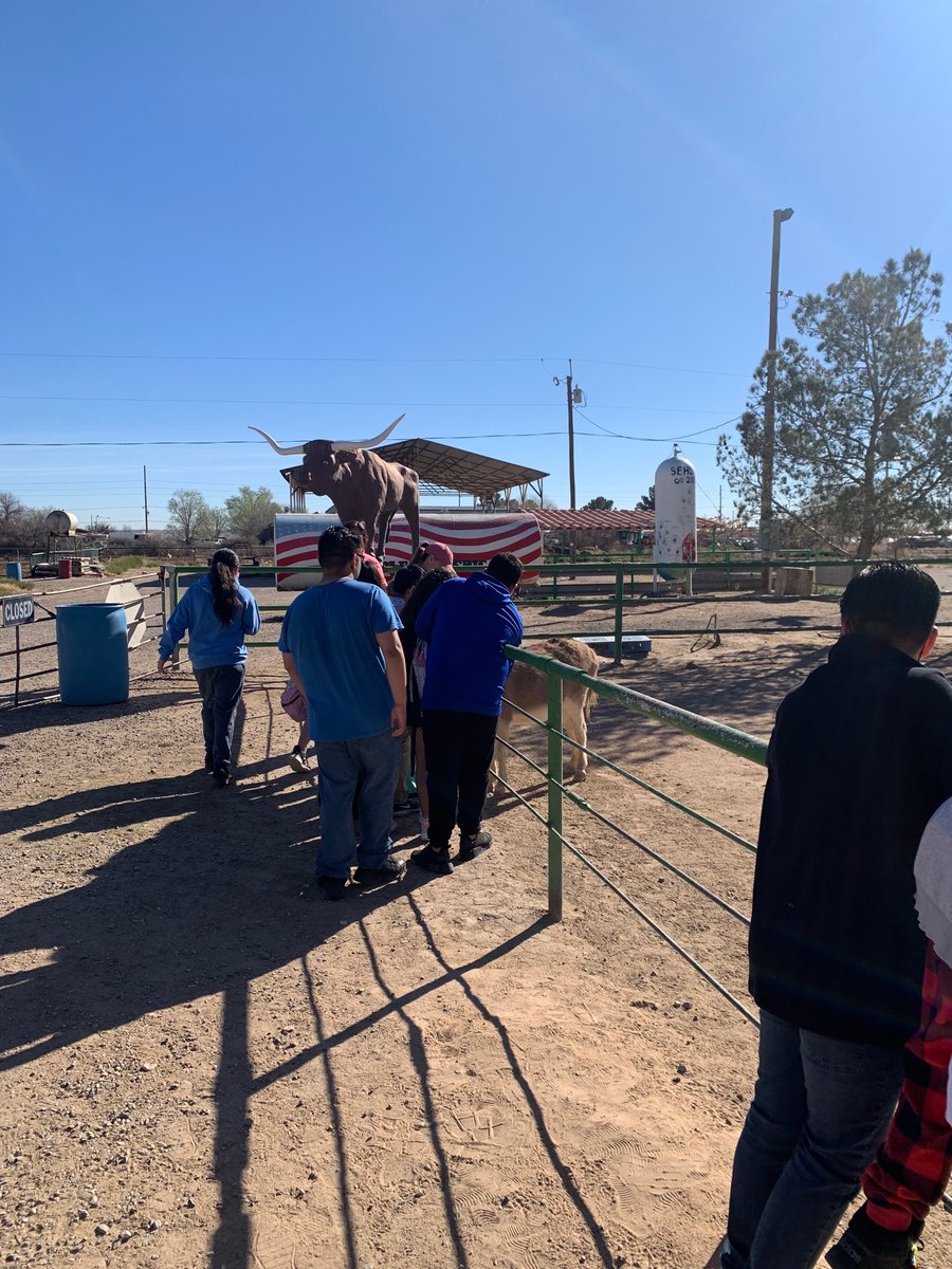 Julio Rodriguez (@jhrodriguez_sms) on Twitter photo What a way to kick off our spring break!! The <a href="/Socorro_Middle/">Socorro Middle</a> WINACADEMY visiting our one and only Licon Dairy Farm What a way to kick off our spring break!! The <a href="/Socorro_Middle/">Socorro Middle</a> WINACADEMY visiting our one and only Licon Dairy Farm