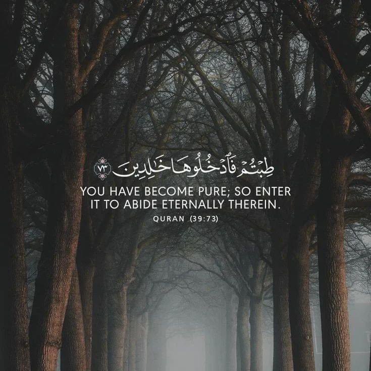 تصبحو علي خيرا
" اللّهم هذه الطمأنة "