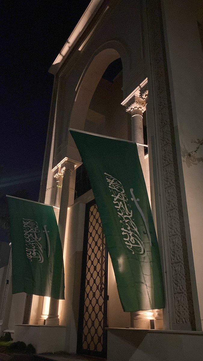 تصبحون على أعز وأجمل الاوطان🇸🇦👑 #يوم_العلم