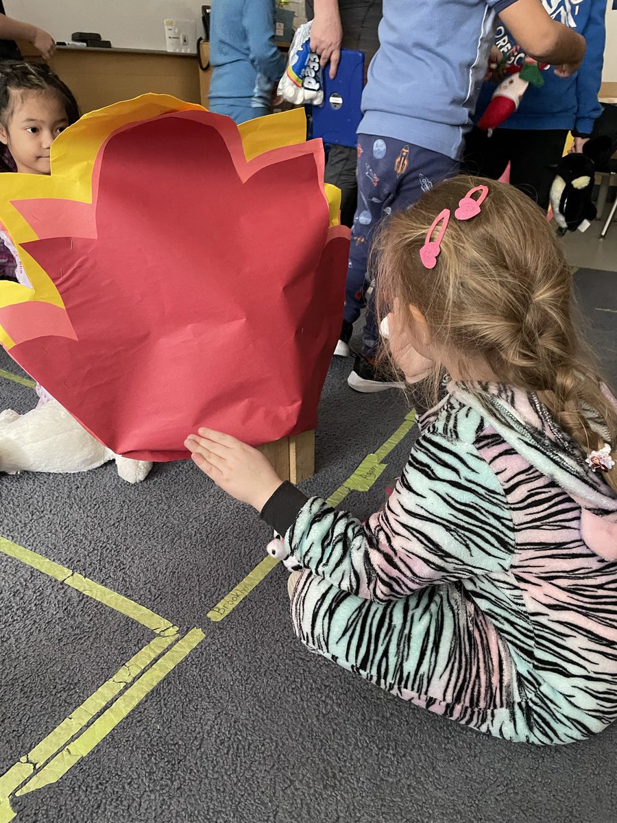 Today is #CampRead - some students are “roasting” marshmallows and keeping warm by the “fire” #joyoflearning #MaplePod #SitkaPod #buddyreading