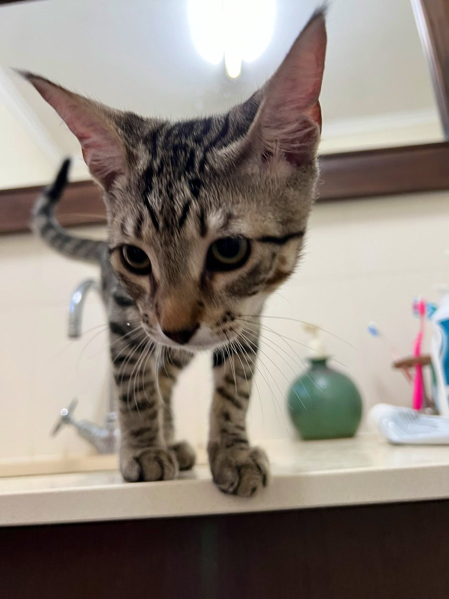 weskrantz's tweet image. good morning