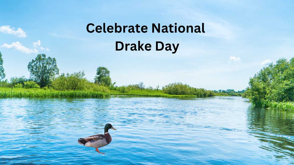 YsReffitt's tweet photo. Since my oldest is Drake let's celebrate National Drake Day!
https://t.co/FzG4tPEc3d https://t.co/i1o4vJ2Gqm