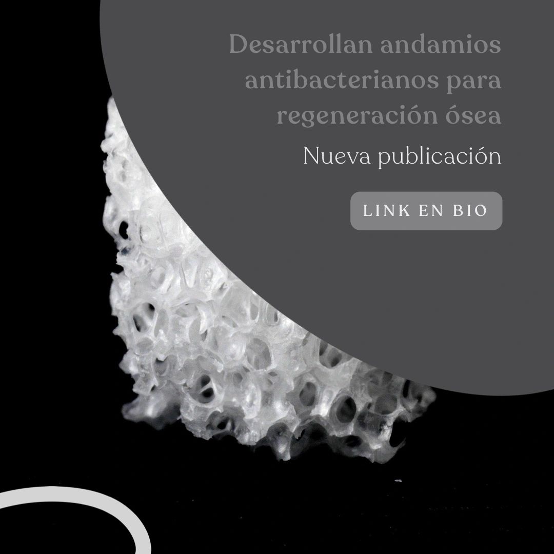 NanoBioColombia (@nanobiocolombia) on Twitter photo Desarrollan andamios antibacterianos para regeneración ósea utilizando nanopartículas de fosfato de calcio y extractos de plantas en policaprolactona. Esto mejora el crecimiento celular y previene la colonización bacteriana. #nanotecnología #regeneraciónósea #antibacteriano Desarrollan andamios antibacterianos para regeneración ósea utilizando nanopartículas de fosfato de calcio y extractos de plantas en policaprolactona. Esto mejora el crecimiento celular y previene la colonización bacteriana. #nanotecnología #regeneraciónósea #antibacteriano