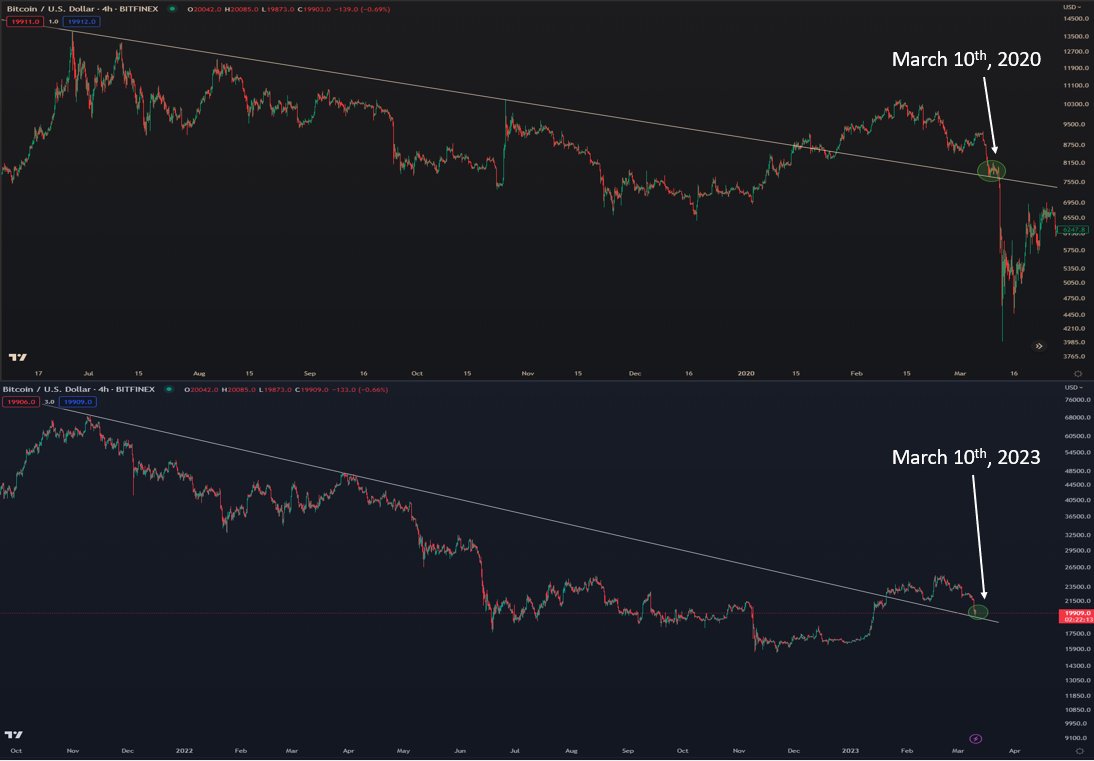 K A L E O tweet media