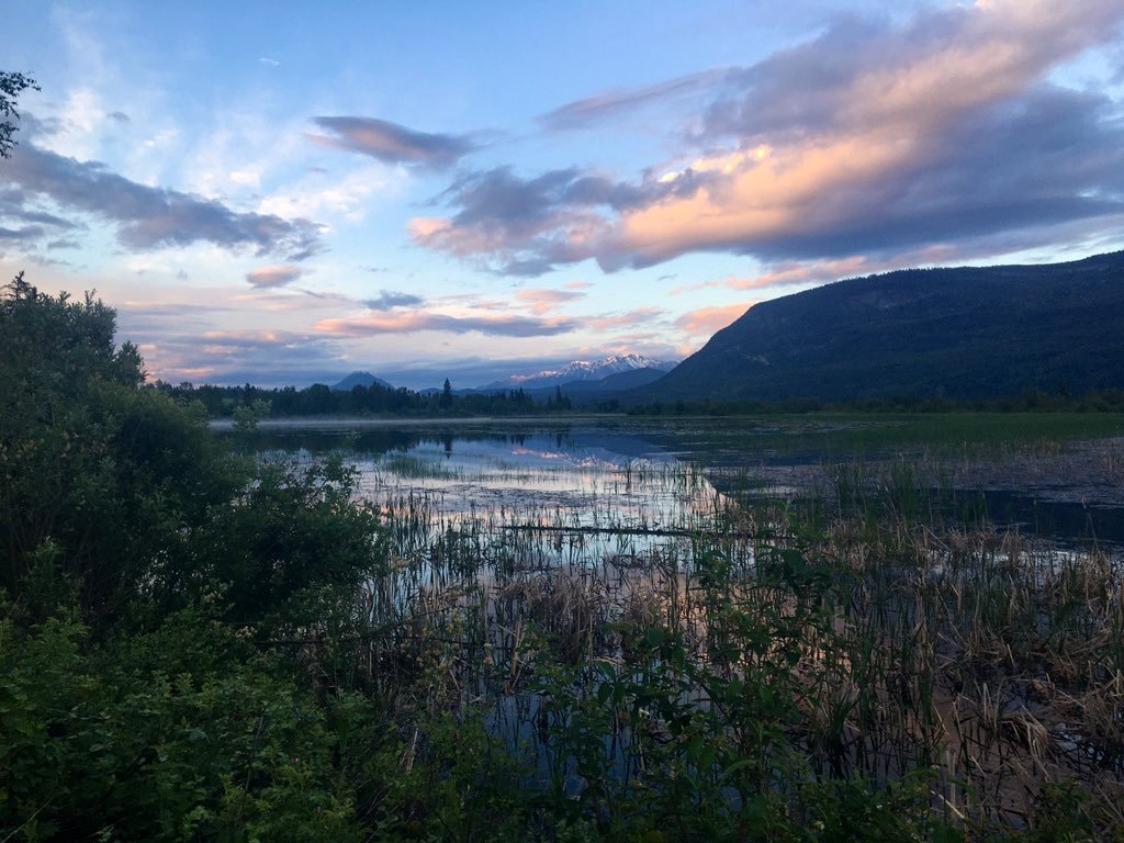 Catriona Leven tweet media