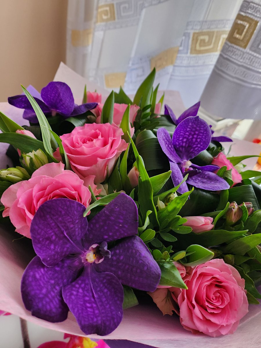 Мечта Мелмана🚣 tweet media