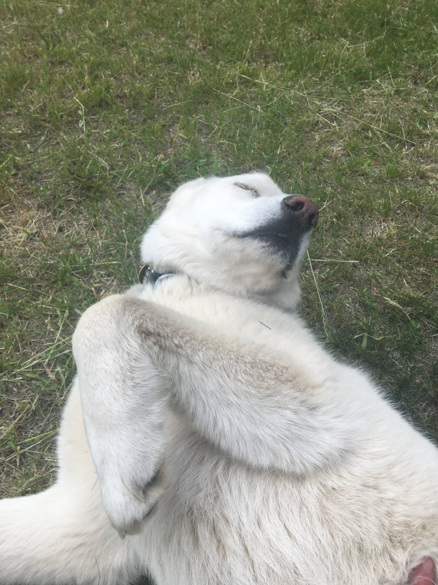 Catriona Leven tweet media