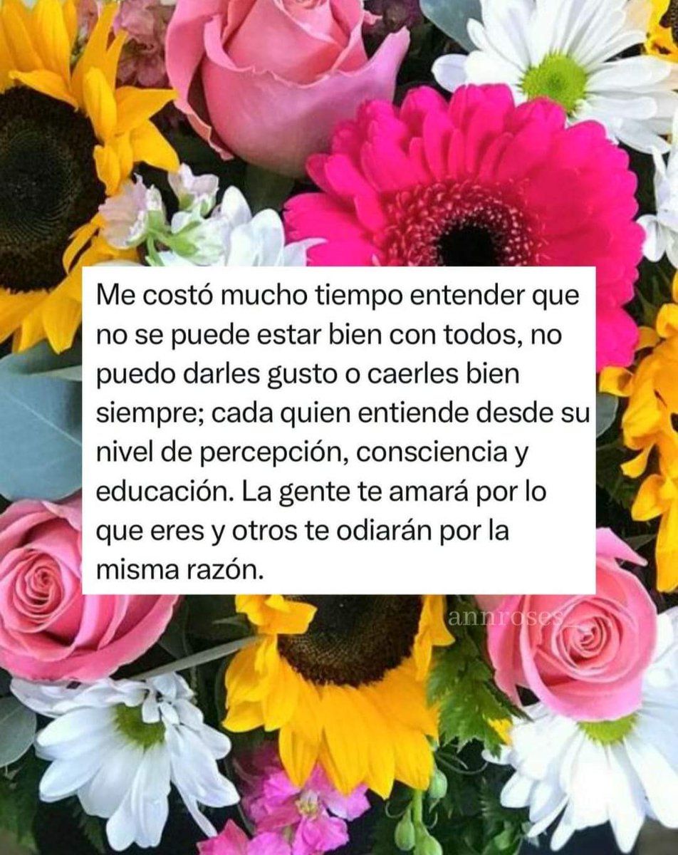 Mentes Brillantes (@marisol27960701) on Twitter photo 