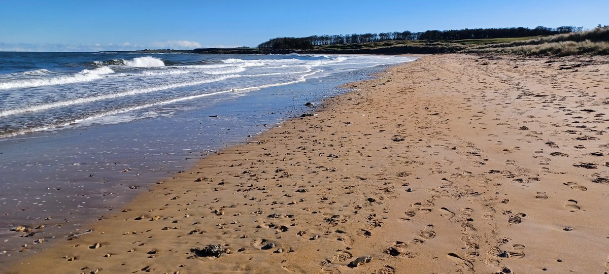 John Boyne tweet media