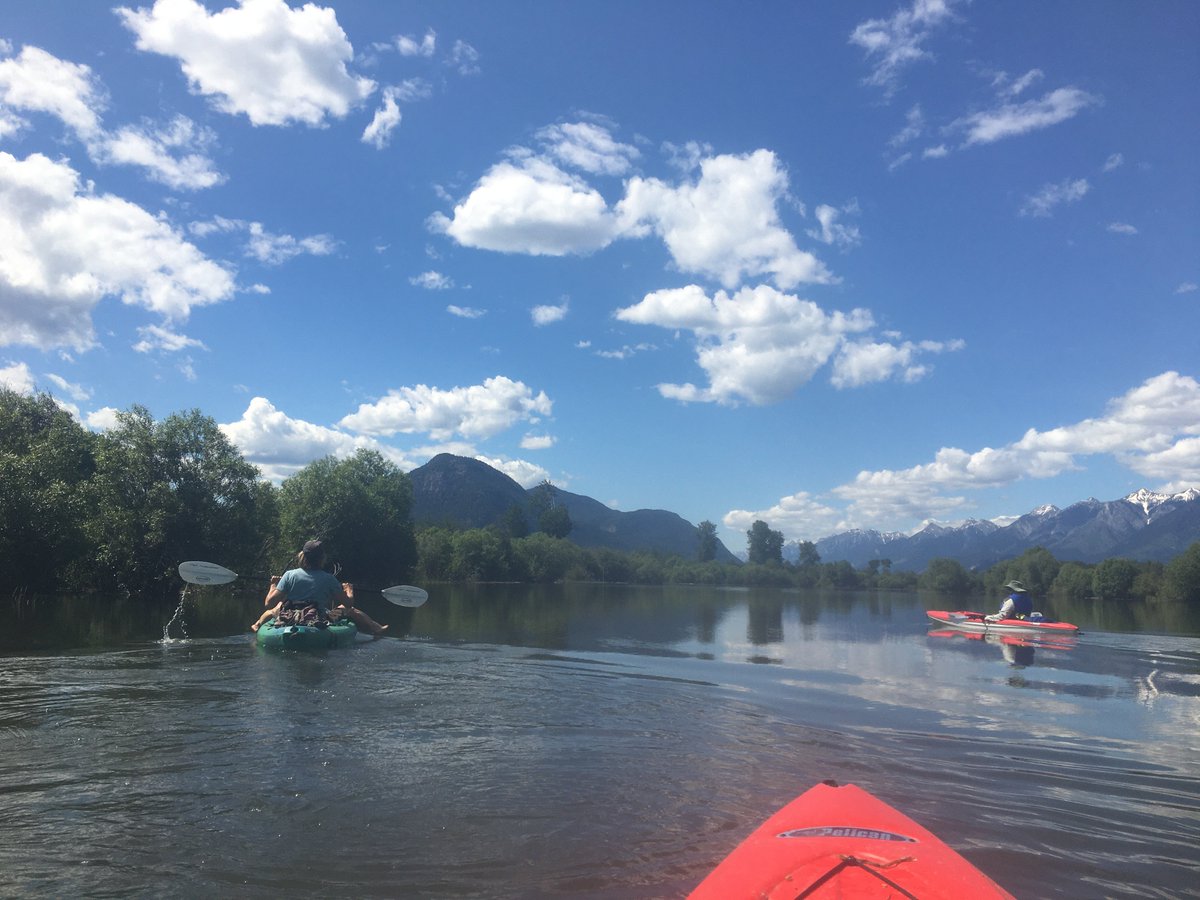 Catriona Leven tweet media