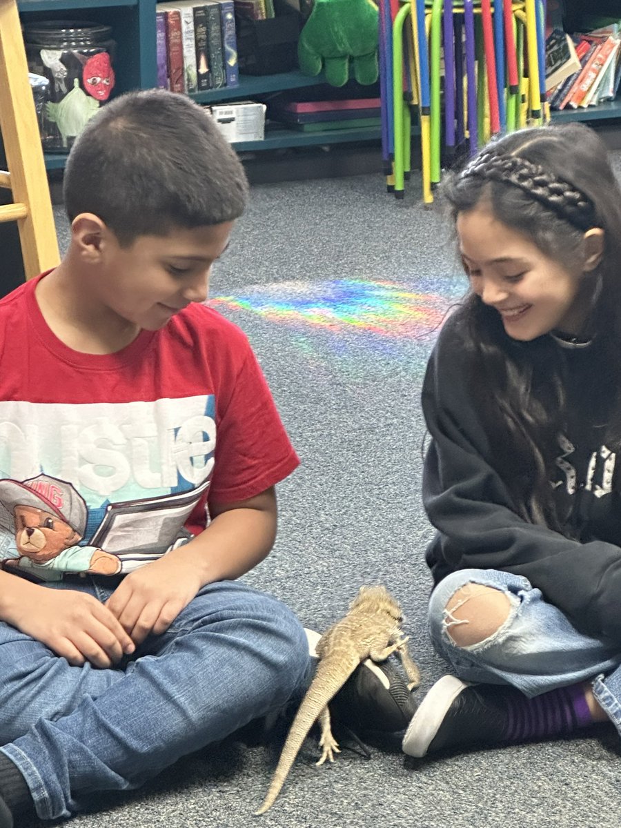 Vita Carnduff tweet media