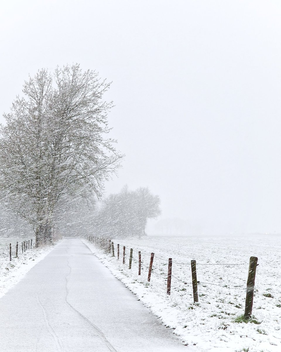 intheamomintsje's tweet photo. Fryslân #codegeel #codeWIT #sneeuw #Friesland #WinterWonderland #onderwegindethuiszorg #blijdatikglij https://t.co/wPWRF2Qdz9