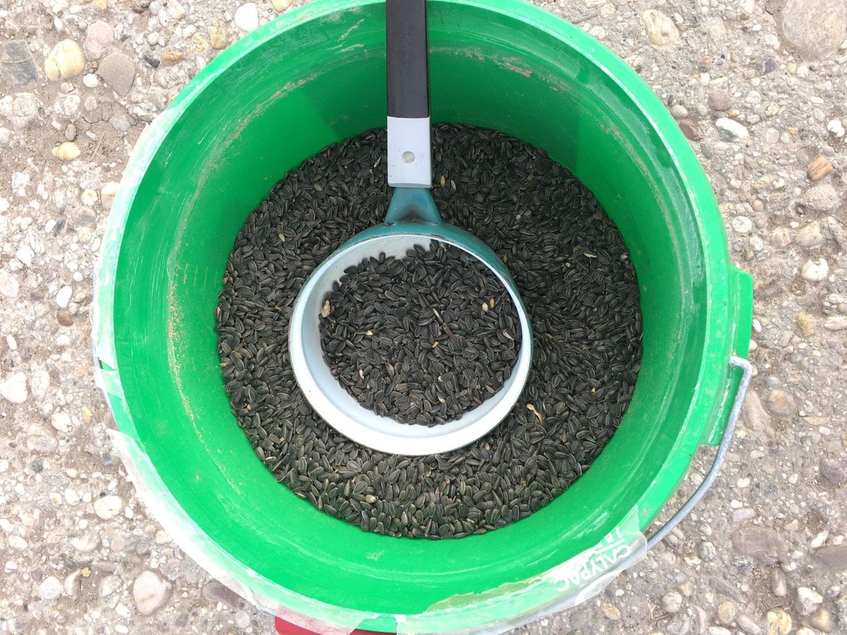 MossyEarth's tweet photo. An early wake up for the ground squirrels means their food opportunities are scarce. Read my update in your account to find out what is being done.

https://t.co/baHXvcyLvv

Adriana Brossmannova
Conservation Biologist

 #groundsquirrels #rewilding https://t.co/ZQxUL5kavS https://t.co/AjAACJzXAI