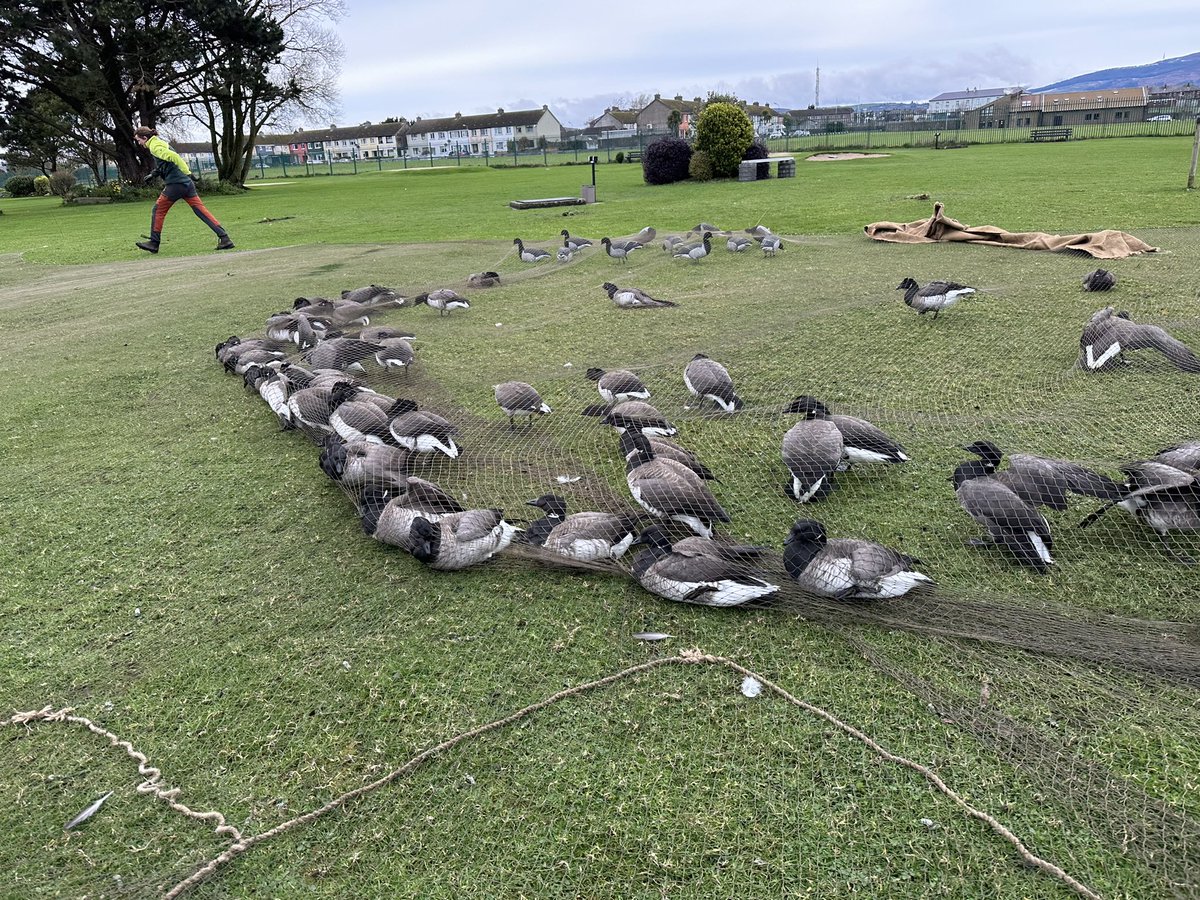 KRCEcological 🇺🇦 tweet media