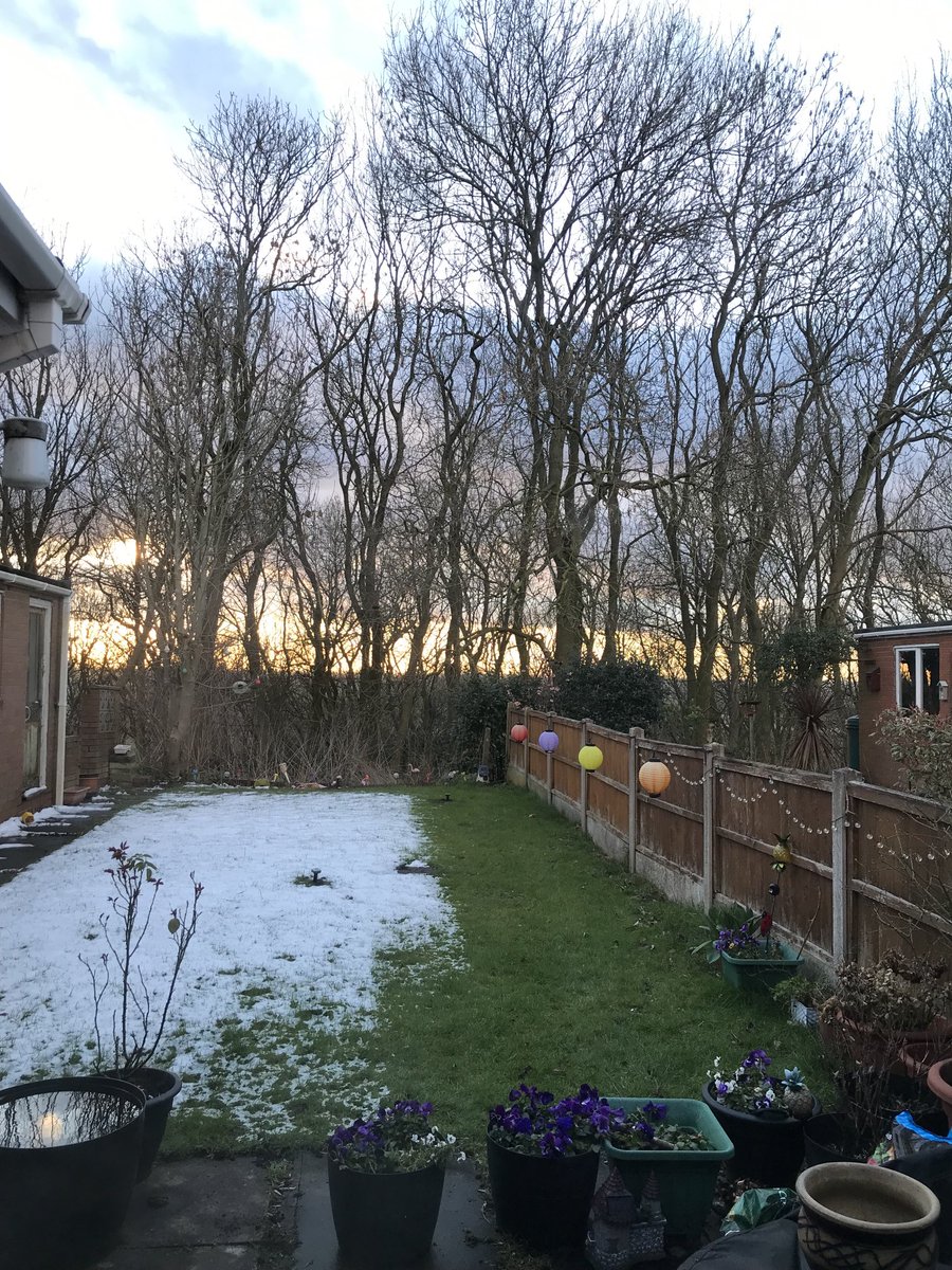 cfs_jo's tweet image. Can you tell where the sun/shade was today? #Obvious #JoyInSpring