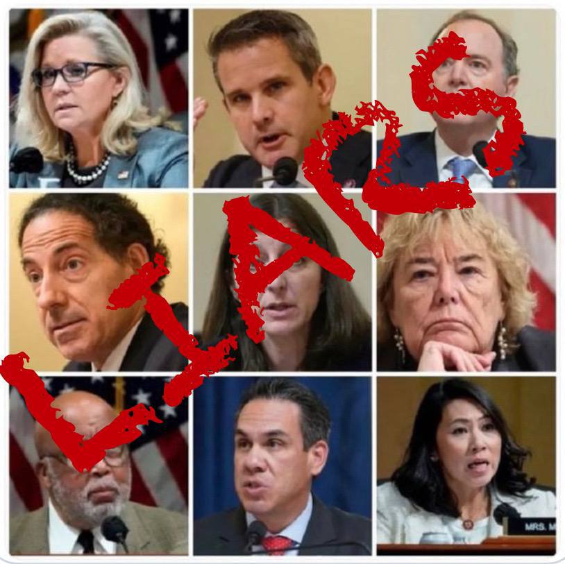 CJ77944664's tweet photo. New photo of the J6 Committee
#J6committeelied #J6LivesMatter #J6Files #J6Tapes https://t.co/bpvRohBPmp