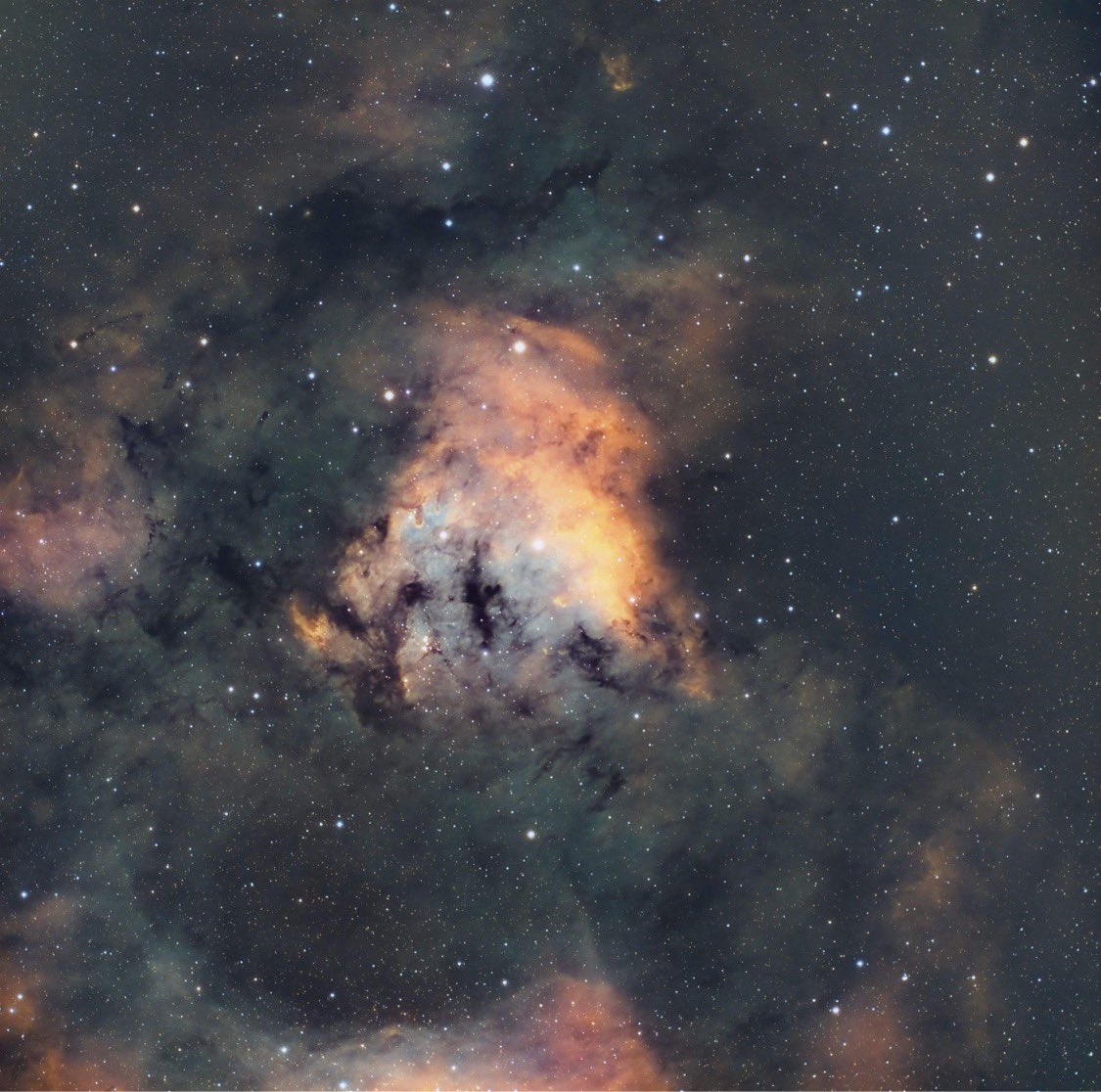 The Teddy Bear Nebula. Imaged over 5.5 hrs of Sii, Ha, Oiii Optolong filters with  ZWOASI533MM camera. #astronomy #astronomypictureoftheday #nasa #esa #space #backyardastronomy #astrophotography #nebula
