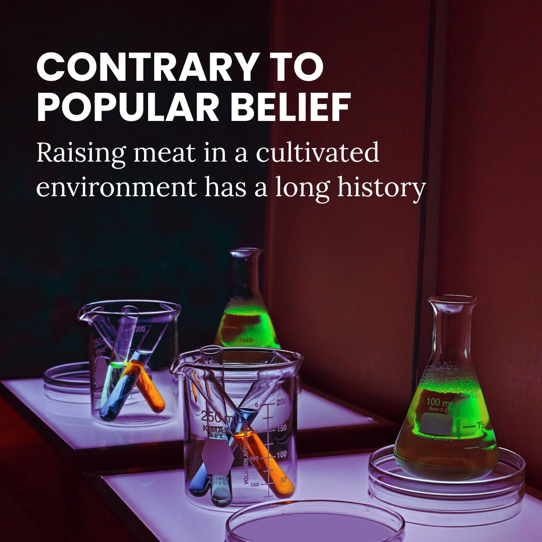 Did you know the idea of #CultivatedMeats dates back to the 20th century when #WinstonChurchill predicted meat growth without animals?💡🔍 Today it's become a reality and we're excited to be pioneering ethical and delicious meats for a brighter future. #futureoffood #innovation