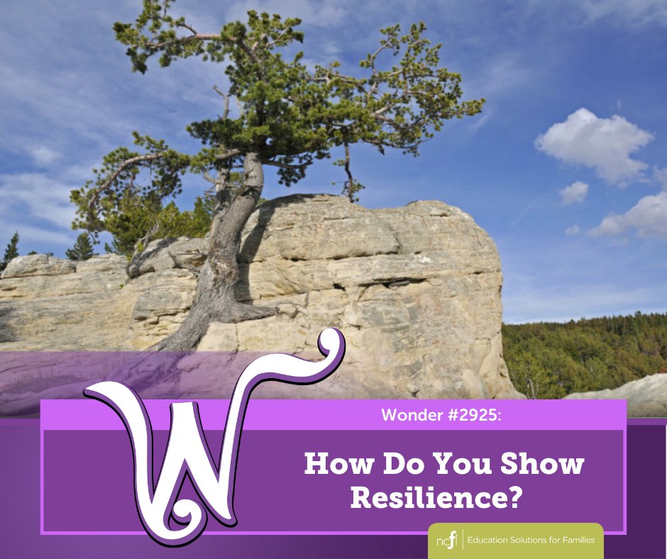 Wonderopolis tweet media