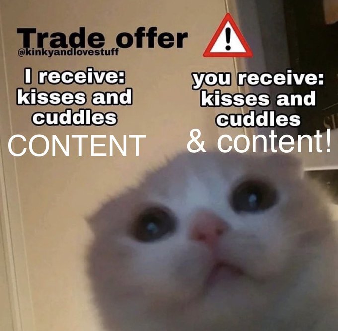 Hiii looking for two ladies to shoot a  g/g trade scene this coming week! Directed by me! ✨ DM me if