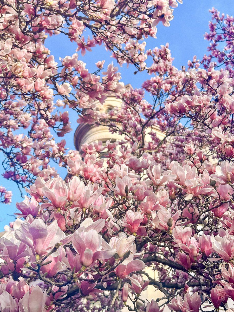 AnnaMaria Di Pietro tweet media