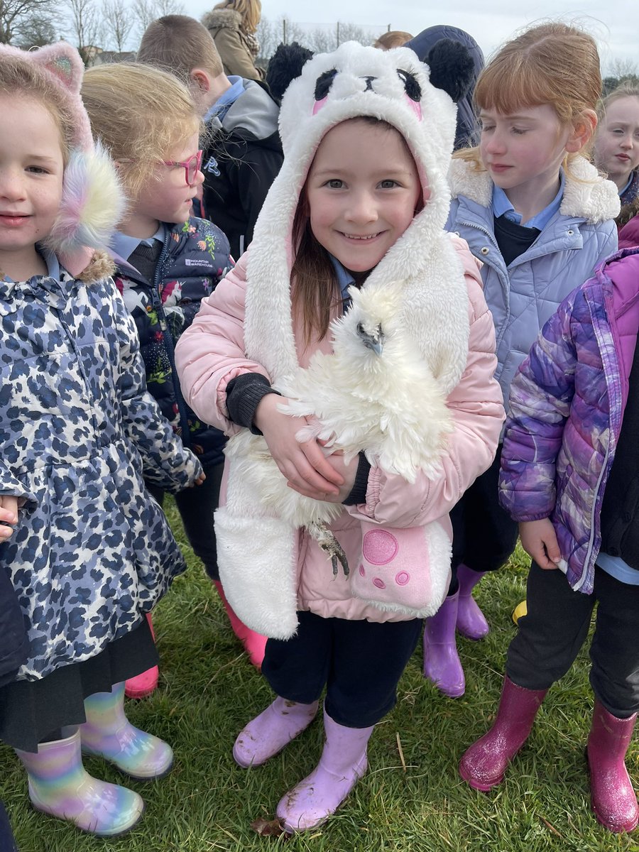 colaisteabbain's tweet photo. It was great to have students visit our farm today from @Adamstown_NS Students had great opportunities learning about goats and poultry which coincides with their learning in Aistear. It was great to see the happy smiles leaving Coláiste Abbáin #community #excellenceineducation https://t.co/C45ZeNfxfO