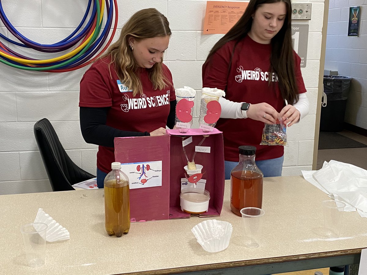 vreyome87's tweet photo. Wow!  Thanks to the BOCES New Vision Health/Education students our 5th grade students got an amazing experience and learned all about the human body! https://t.co/1meQysBPcf