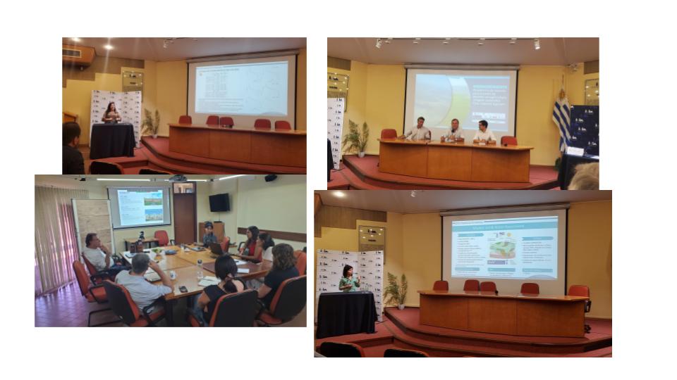 It was a busy morning listening to the results of our multidisciplinary INNOVAGRO project in Uy, including wonderful work from Florencia Hastings and Jimena Alonso. It has been great working with all and @baethgen on this project. @GmicUy.