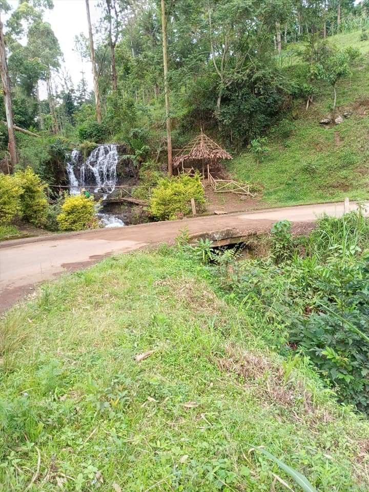 hmethod_'s tweet image. Nature