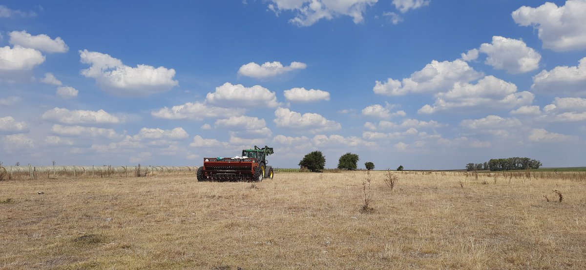 Se largo la siembra, jugados a los pronósticos