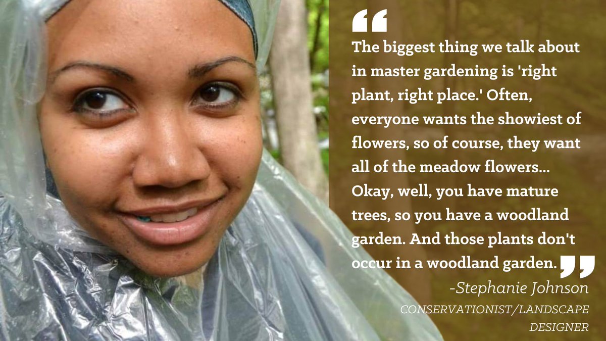 We sat down with conservationist/landscape designer Stephanie Johnson to discuss her upbringing &amp; the importance of protecting native plant species. Read this nature-loving Northern Virginian's story &amp; how her experiences affected her life in every facet.

bit.ly/3l2KLKa