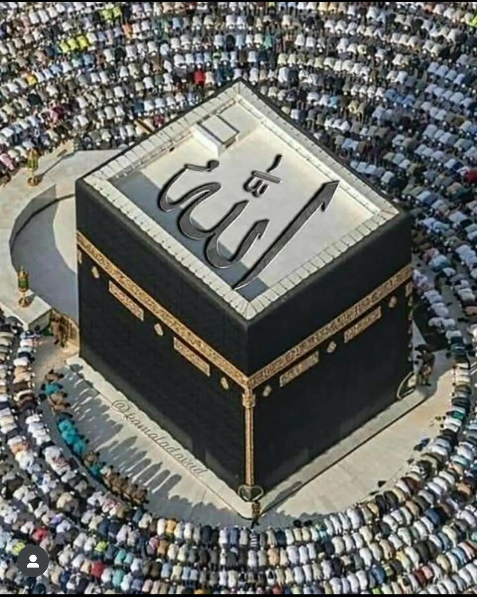 How many Muslims are online to retweet?