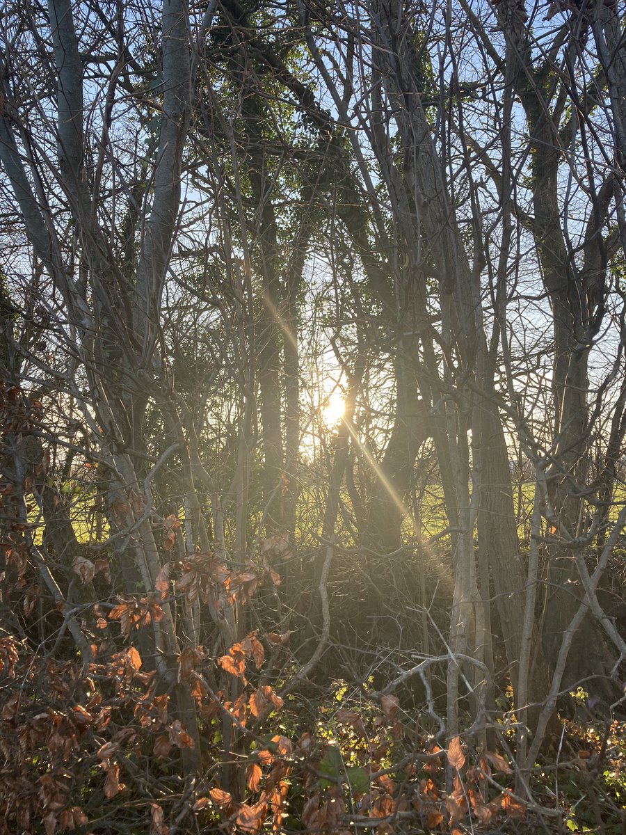 suzeewong's tweet photo. Day 68 #100daysofwalking what a few days & what an evening 🥰 #MotherNature at her best #breathe #keepherlit🔥 soak up the beauty peeps #HappyFriday @xavierrudd for company #howapt #spiritbird https://t.co/7NuUpqXuAP