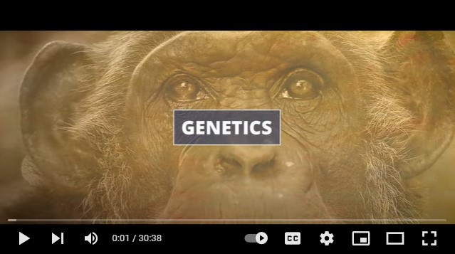 creationnews's tweet image. Is the story of Adam and Eve unscientific myth or literal history? Watch scene 4 from Dismantled Evolution documentary film to learn about the remarkable evidence from modern genetics that sheds light on the origin of man.

youtube.com/watch?v=UMNHG0…

#dismantled