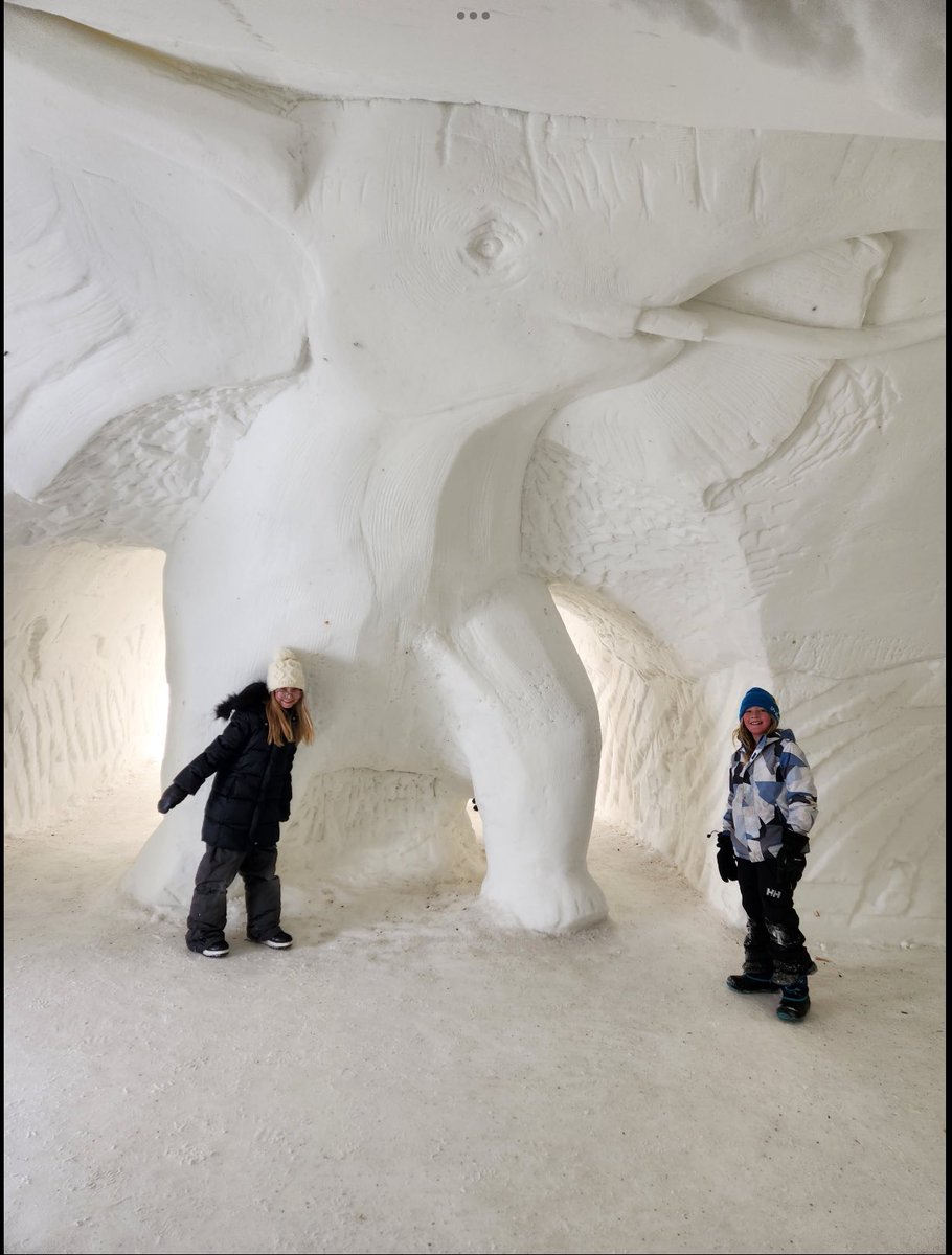 am_RETSD's tweet photo. Our amazing patrols were celebrated yesterday with a phenomenal field trip to the #GuinnessWorldRecord largest snow maze @AMazeInCorn .  Our day was jam packed with TONS of fun activities. Thank you to all our outstanding patrols! https://t.co/bz3P0BzxaV