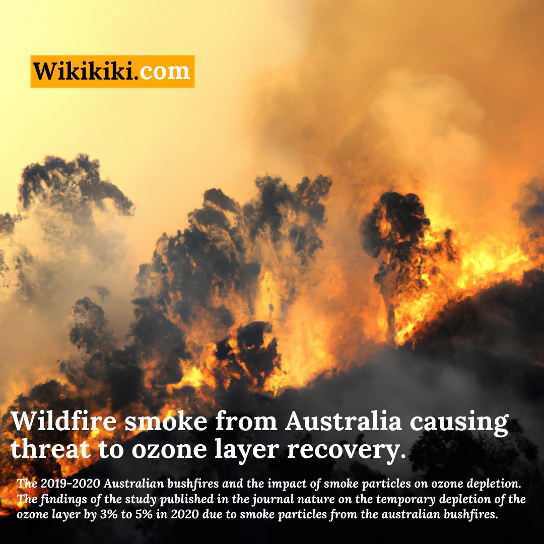 To know more about Wildfire and Ozone layer. wikikiki.com/wildfire-smoke…
#ozone #ozonelayer #earth #nature #naturelovers #naturelover #wildfire #australia #bushfires #trees #tree #smoke #chlorine #ozonehole #world #wikikiki #news #trendingnews #worldnews #newsupdate #plants #plant