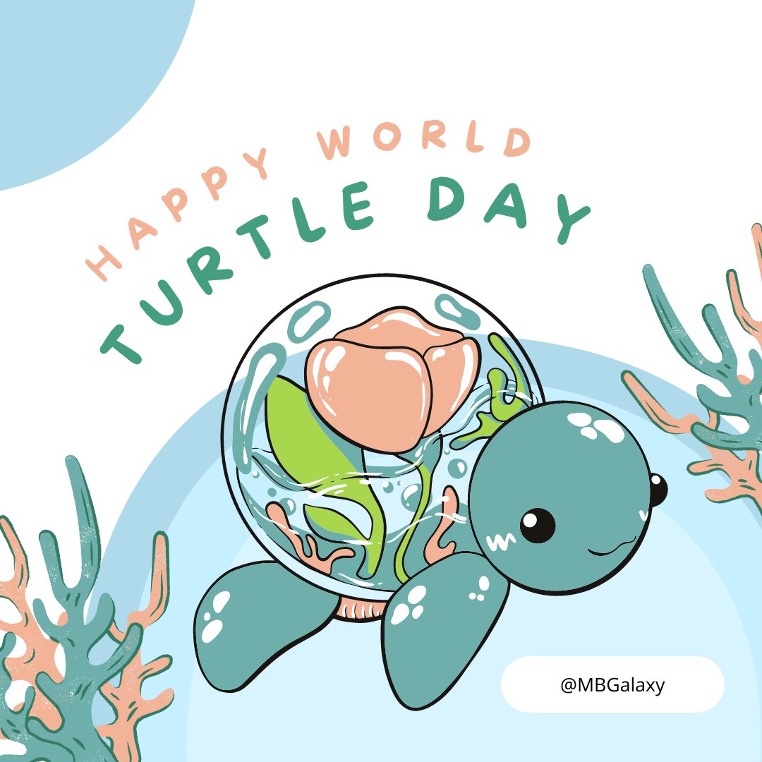 Today is #turtley #awesome #Happy #WorldTurtleday #savetheturtles #turtles #turtleday #turtle #bounce #bouncing #bouncehouse #rentals #rental #party #va #dmv #moonbouncegalaxy #moonbounce #moonbouncerentals #DC #mbgalaxy #MD #moonbouncedmv