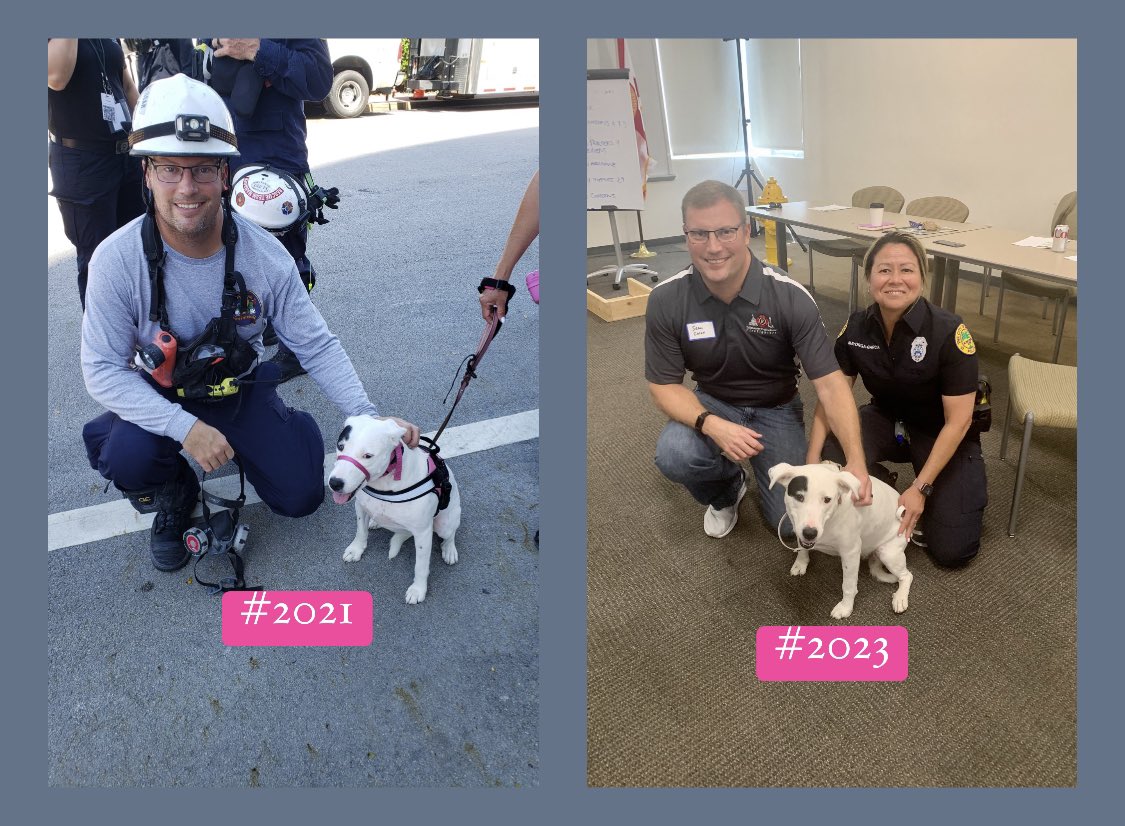 First met at #surfsidebuildingcollapse  back in #2021 and again on #2023 at the #mdfr #crisisresponse K-9 #team #workshop #tallahassee #fire #department #captain #shawncampana @miamipal @mpdpolice 🐾🐶🚒🚔❤️💙