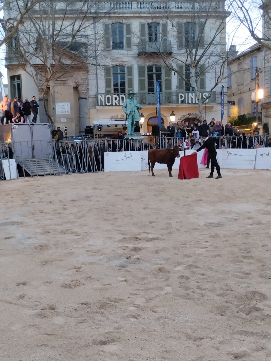 Face à Frederic #Mistral prix nobel de littérature pour son œuvre en Provençal, tauromachie en fête place du forum à un mois de la #Feria d’#Arles !
C’est bondé, des taureaux en piste, des toreros et raseteurs Français ! Ole ! #Ouualacorrida #Ouialabouvine