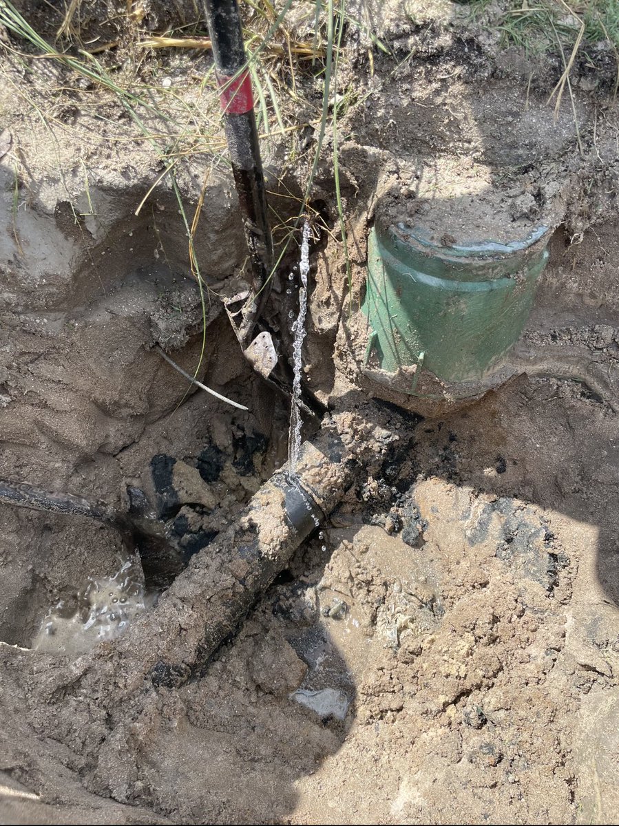 Tim Campbell tweet media