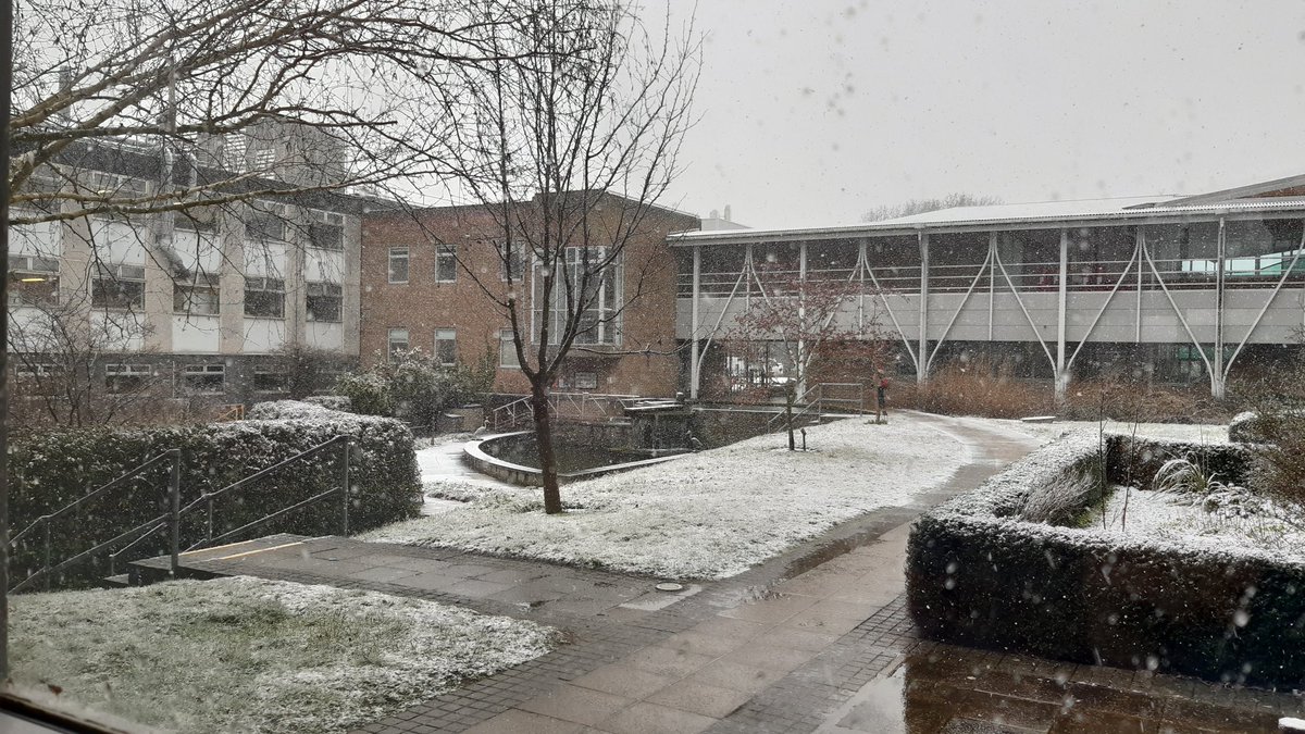 CathPlantSci's tweet photo. Snowy precipitation outside the lab, #DNA precipitation inside the lab @JohnInnesCentre #snow #BorrillLab #phdlife https://t.co/aS1QmnW7sC