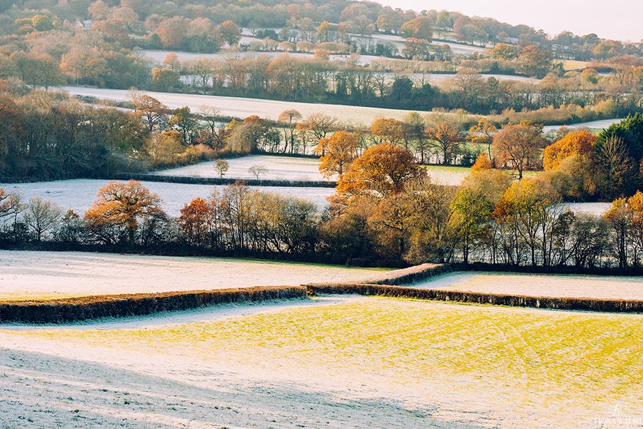 The last of the days' sunlight hits the trees, and almost makes it look autumnal.
Can you just imagine yourself so easily taking a deep satisfying breath in, and feeling good because of all the space.

<a href="/GdnMediaGuild/">Garden Media Guild</a>  #gardening #gardendesign #gardenphotographer #exmoor #snow