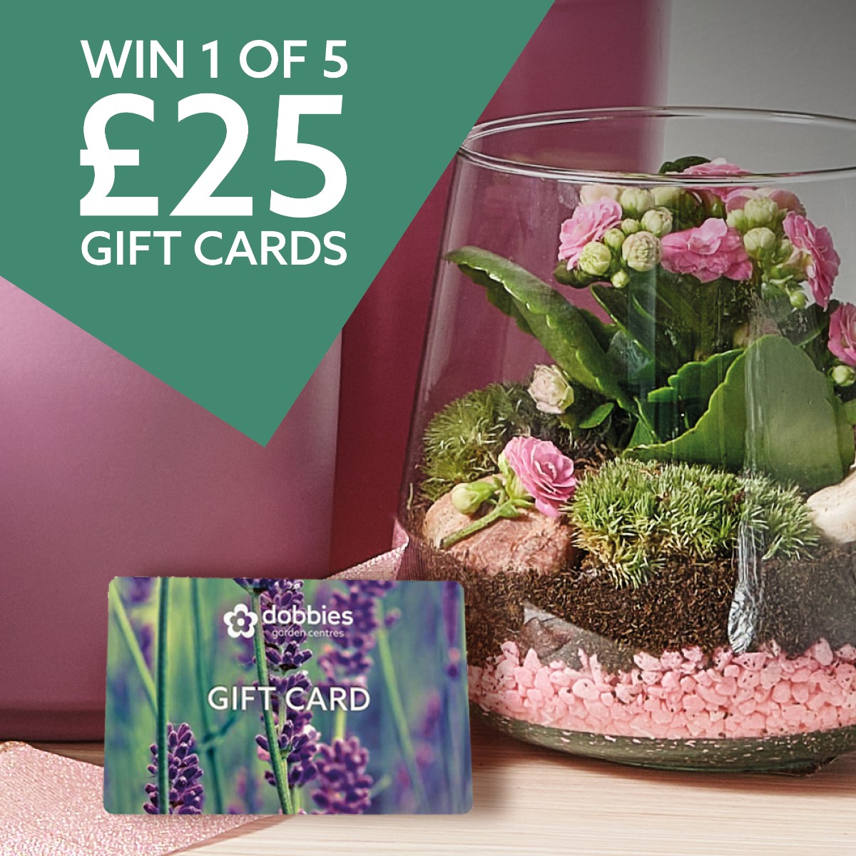 Dobbies on Twitter "To celebrate Mother's Day, we're giving away 5