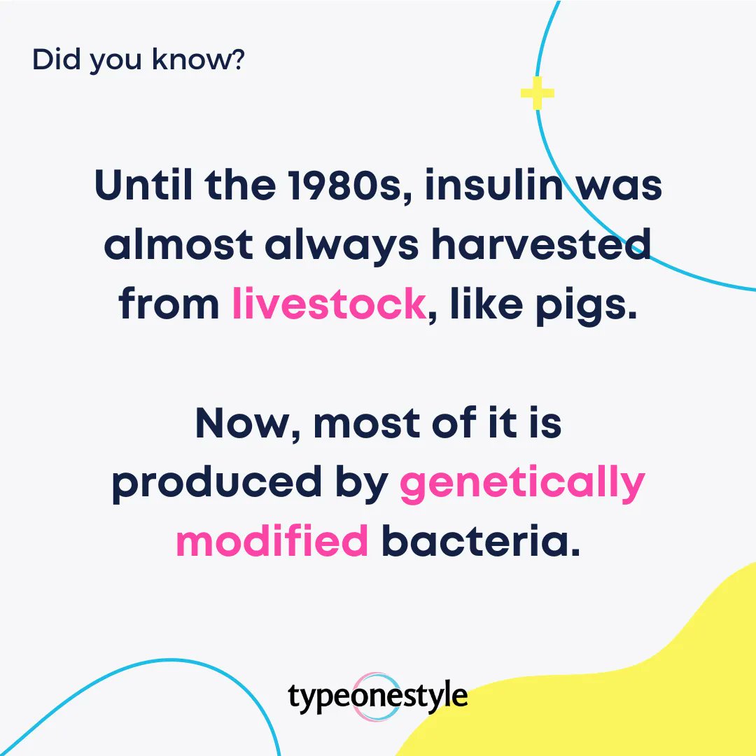 typeonestyle1's tweet photo. #funfactfriday - Did you know? 🤔 

#typeonestyle #t1d #diabeticsdoingthings #diabeteslife #diabetesmanagement #diabetesmellitus #diabeteseducation #diabetescontrol #typeonestrong #diabetesblog #diabeticlife #t1dlookslikeme #diabetesacccessories #dexcom #libre #omnipod https://t.co/Xs5IPaGnw7